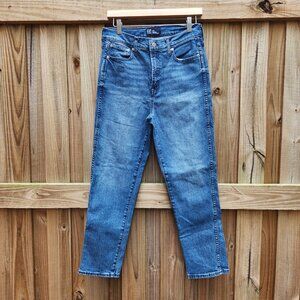 GAP High Rise Vintage Slim Jeans Size 8/29